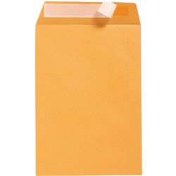 Cumberland Plain Envelope Pocket B4 250 x 353mm Strip Seal Gold Box Of 250